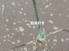 南美白对虾养殖打卡 视频长这个样 # 高密度养殖 # 水产养殖 #
