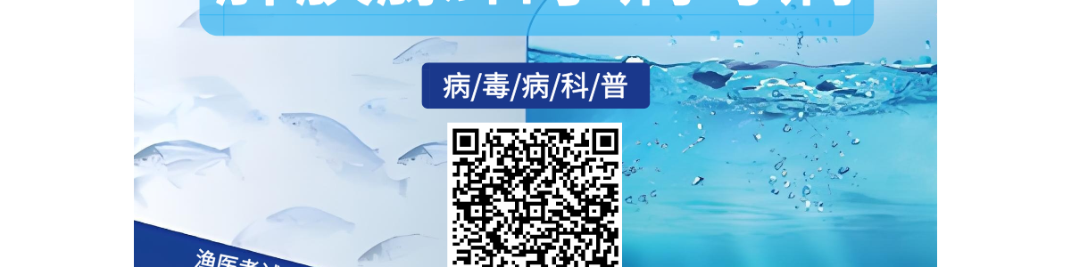 肝胰腺细小病毒病-甲壳病毒病-会养虾学院