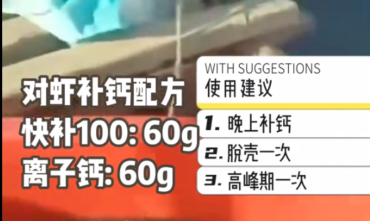 对虾补钙.png