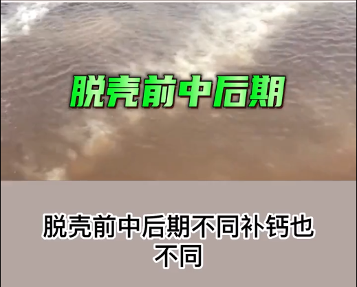 补钙选用.png