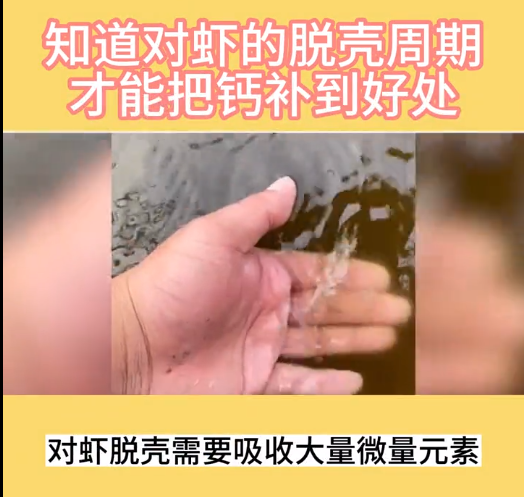 补钙.png