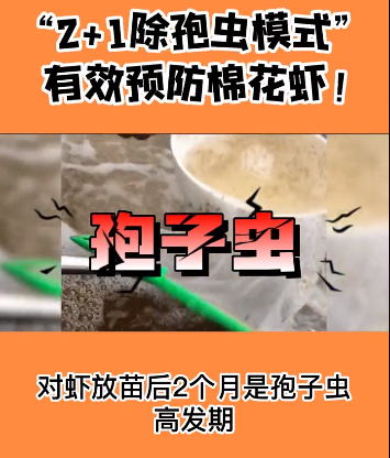 孢子虫图.png