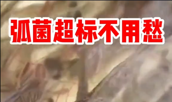 弧菌超标不怕.png