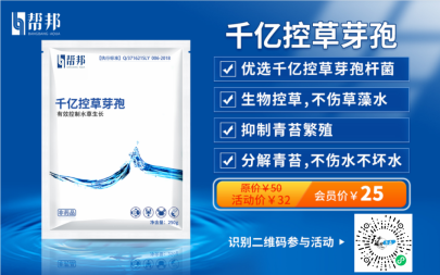 帮邦水产千亿控草芽孢处理青苔