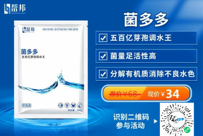 通过泡沫看水质